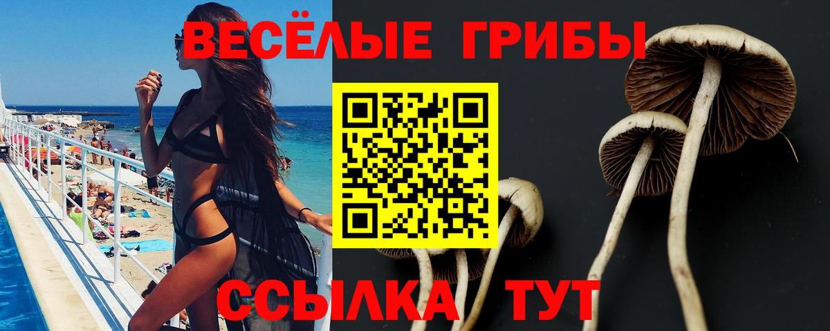Псилоцибиновые грибы мухоморы Дубна